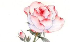 2023年3月17日嫁娶好不好 农历腊月十一是不是结婚吉日