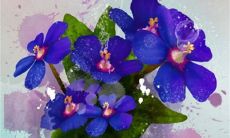 2023年3月6日惊蛰可以装修新房吗 是装修吉日吗