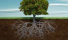 哪些星座男能娶到好老婆 对老婆深情专一