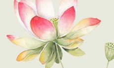 2023年3月4日适合装修吗 装修吉日是今天吗