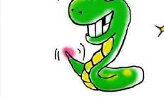 2021年属蛇的运气如何 生肖蛇性格解读