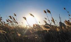 2022年婚姻会产生问题的星座男是哪些