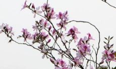 2023年2月24日装修房子可以吗 是装修黄道吉日吗