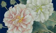 2023年2月25日适合装修吗 装修吉日是今天吗