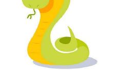 蛇年几月出生运势最好 不同的特点