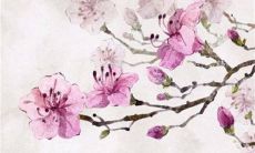 2023年3月1日适合装修开工吗 是装修吉日吗