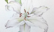 2023年2月23日装修房子好吗 今天日子好不好