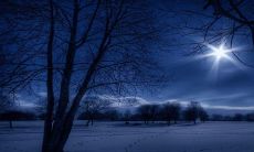 正月初七生的女孩起名推荐2023 气质高雅取名推荐