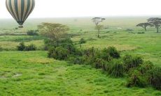 2021年七夕情人节工作事业运势很好的星座