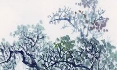 新娘盖头自己掀了会怎样 新娘红盖头别人能掀吗