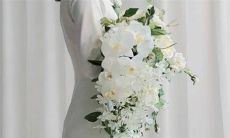 2023年二月十七可以结婚吗 2023农历二月十七是什么日子