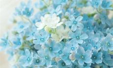 2023年二月十六适合结婚吗 今年二月十六宜婚嫁吗