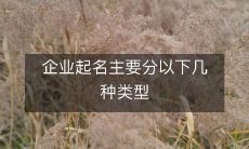 企业起名主要分以下几种类型
