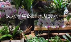 风水学中的旺水及衰水