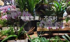 「甲第登庸」不应时