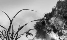 2023年2月14日出行好不好 情人节宜出行吗