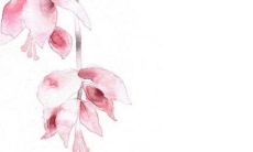 结婚敬茶双方父母都敬吗要跪着吗 改口费男女双方怎么给