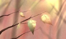 你是因为什么而单身?