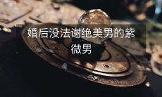婚后没法谢绝美男的紫微男