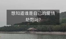 想知道谁是自己的爱情劫数吗？