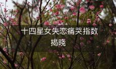 十四星女失恋痛哭指数揭晓