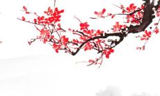 2023年3月31日适合装修吗 装修吉日是今天吗