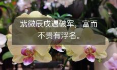 紫微辰戌遇破军，富而不贵有浮名。