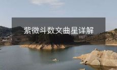 紫微斗数文曲星详解