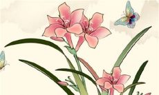 2023年3月23日是装修吉日吗 装潢居室如何