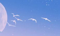 马的生肖最配 和属狗的天生一对