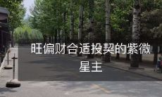 旺偏财合适投契的紫微星主