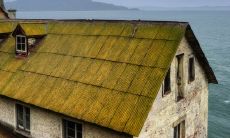 鼠和什么生肖最配 不同月份生肖鼠的婚姻配对查询