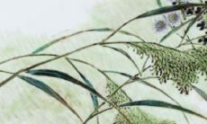 2022年12月19日开张日子好不好 是大吉日子吗