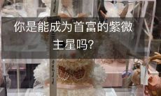 你是能成为首富的紫微主星吗？