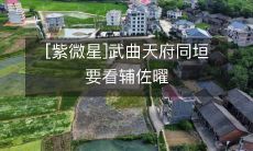 [紫微星]武曲天府同垣要看辅佐曜