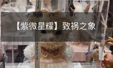 【紫微星耀】致祸之象