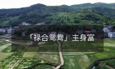 「禄合鸳鸯」主身富