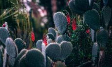 兔和什么生肖最配 和属羊人三观相似