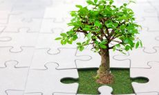 老公属猴老婆属鸡好吗 相处注意事项有哪些