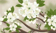 2023年3月6日是提车好日子吗 老黄历查询