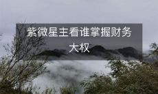 紫微星主看谁掌握财务大权