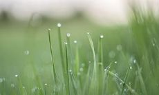 命特别好的人八字 哪天出生富贵命