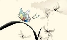 2023年2月3日开工日子如何 装修开工选日子