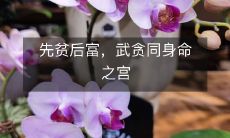 先贫后富，武贪同身命之宫