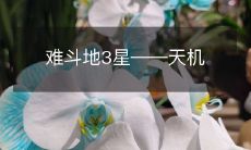 难斗地3星——天机