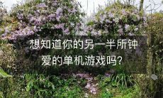 想知道你的另一半所钟爱的单机游戏吗？
