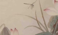 女人结婚戒指戴左手还是右手 已婚女人戒指的正确戴法