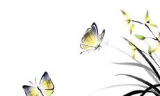 正月十一不能在娘家吗 正月十一有什么年俗