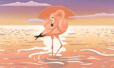 独具民族特色的京族民居文化