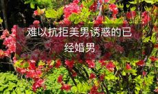 难以抗拒美男诱惑的已经婚男